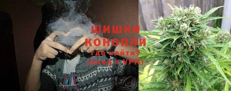 закладка  Белёв  Бошки Шишки White Widow 